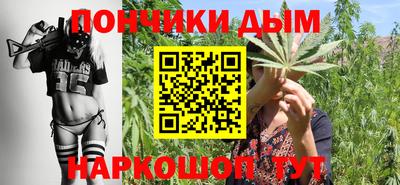 2c-b Кингисепп
