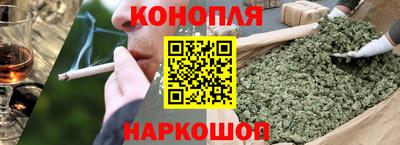 мяу мяу мука Кандалакша