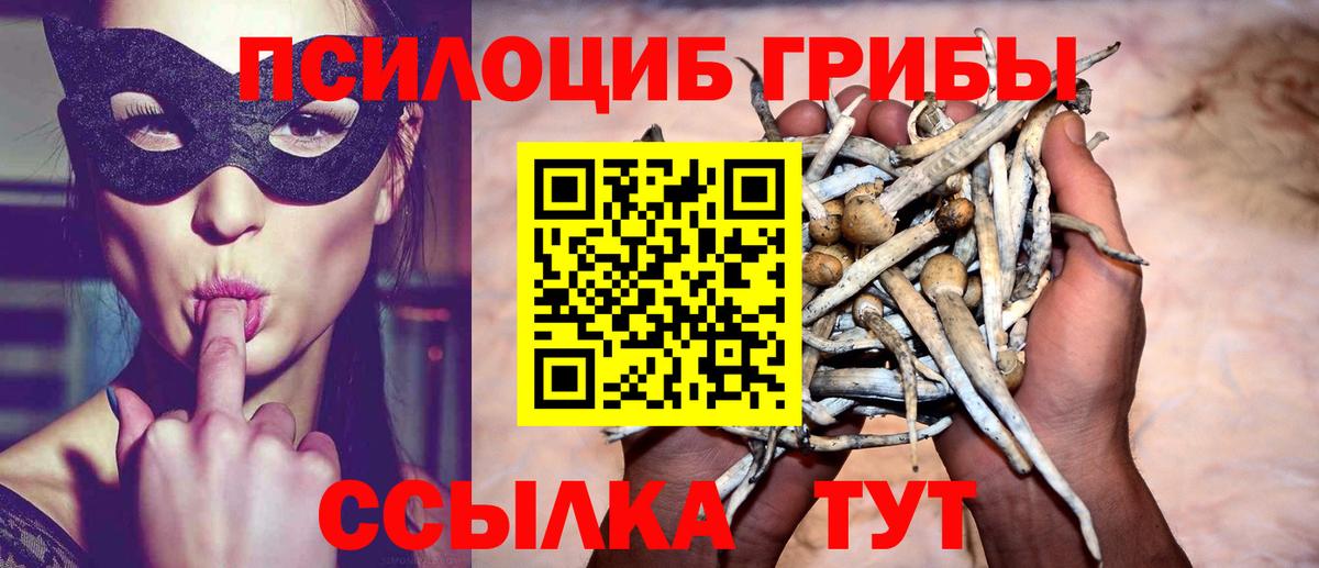 Псилоцибиновые грибы мухоморы Краснокаменск